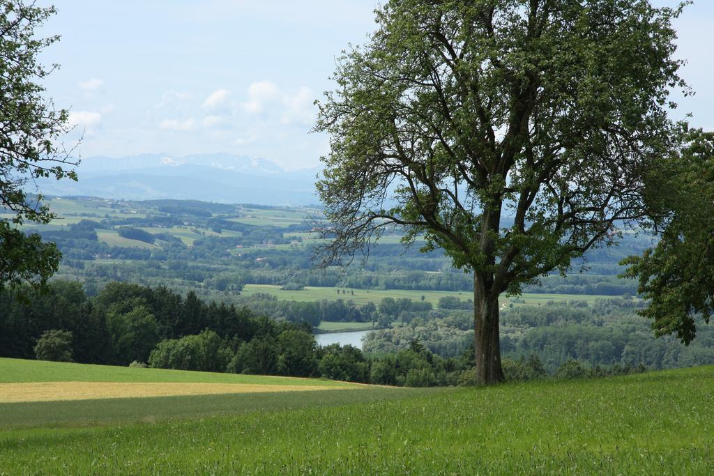 Windhoer Saxen Dış mekan fotoğraf